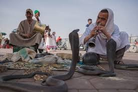 Marrakech Cultural Immersion Tour