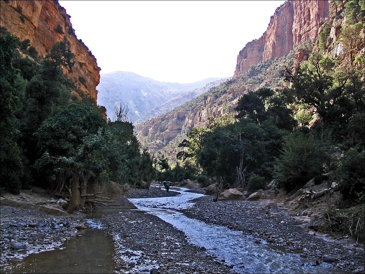 Picnic by the Assif Melloul River